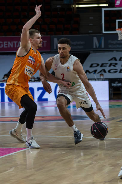 舒波-莫廷岁生日快乐.